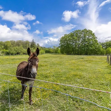 De Groupe Avec Salle De Jeux, Jardin 4000m², Proche Foret De Chandelais Et Zoo De La Fleche - Fr-1-622-56 Дом отдыха *