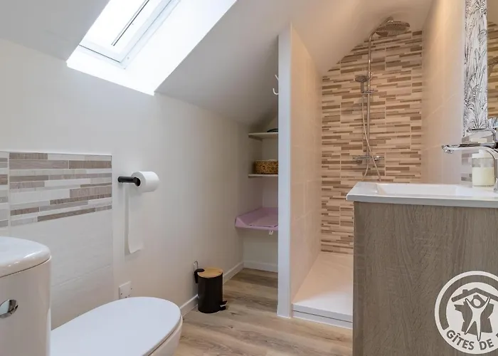 De Groupe Avec Salle De Jeux, Jardin 4000m², Proche Foret De Chandelais Et Zoo De La Fleche - Fr-1-622-56 Baugé