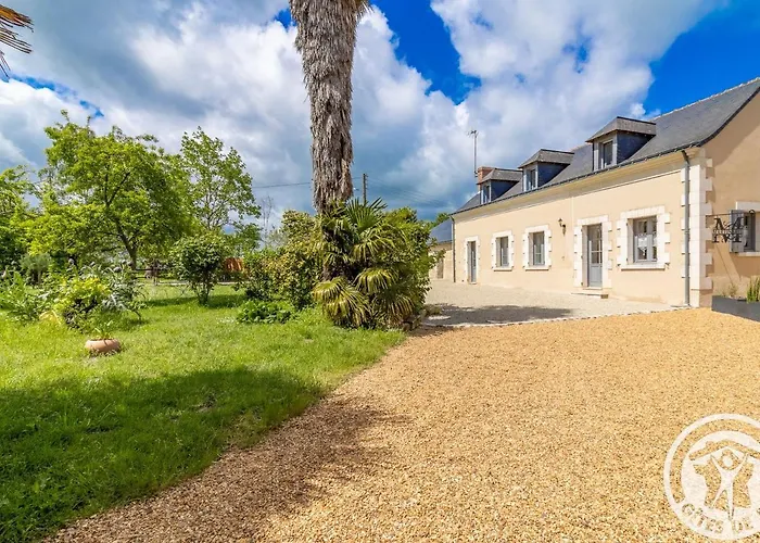 Vakantiehuis De Groupe Avec Salle De Jeux, Jardin 4000m², Proche Foret De Chandelais Et Zoo De La Fleche - Fr-1-622-56 Baugé