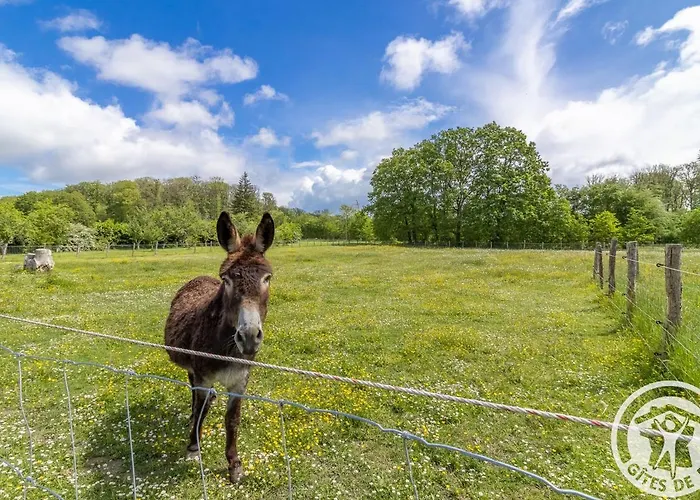 De Groupe Avec Salle De Jeux, Jardin 4000m², Proche Foret De Chandelais Et Zoo De La Fleche - Fr-1-622-56 Vakantiehuis *